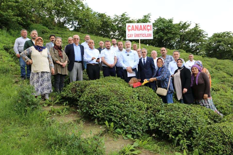 CHP Çanakçı’da Çay Üreticileri’nin Yanında!...