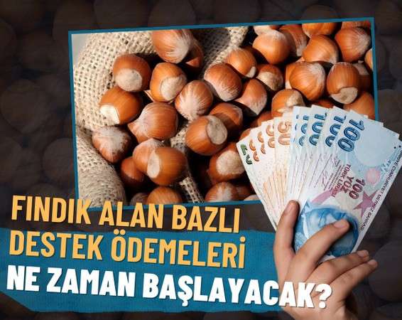 Fındık Alan Bazlı Destek Ödemeleri Ne Zaman Başlayacak?